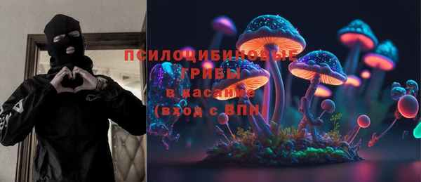 прущие грибы Гусь-Хрустальный