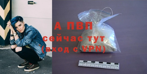 прущие грибы Гусь-Хрустальный