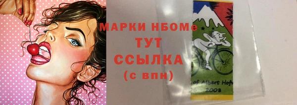 дмт Гусев