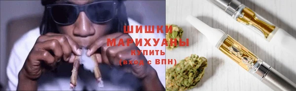 прущие грибы Гусь-Хрустальный