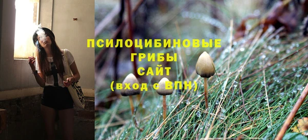 дмт Гусев