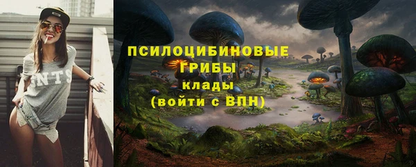 ECSTASY Гусиноозёрск