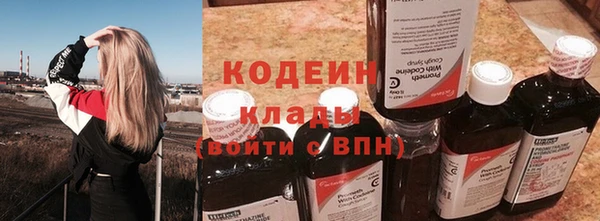 дмт Гусев