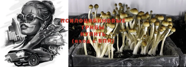 дмт Гусев