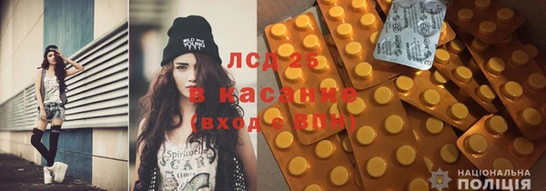 прущие грибы Гусь-Хрустальный