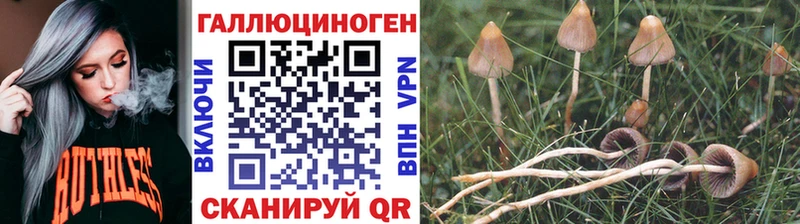 магазин продажи наркотиков  дарк нет официальный сайт  Галлюциногенные грибы мицелий  Меленки 